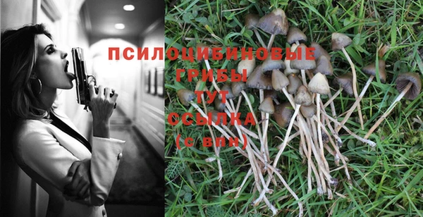герыч Медвежьегорск