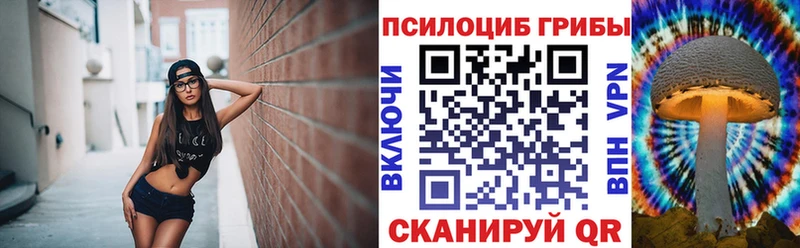 Псилоцибиновые грибы Psilocybine cubensis  Ряжск 